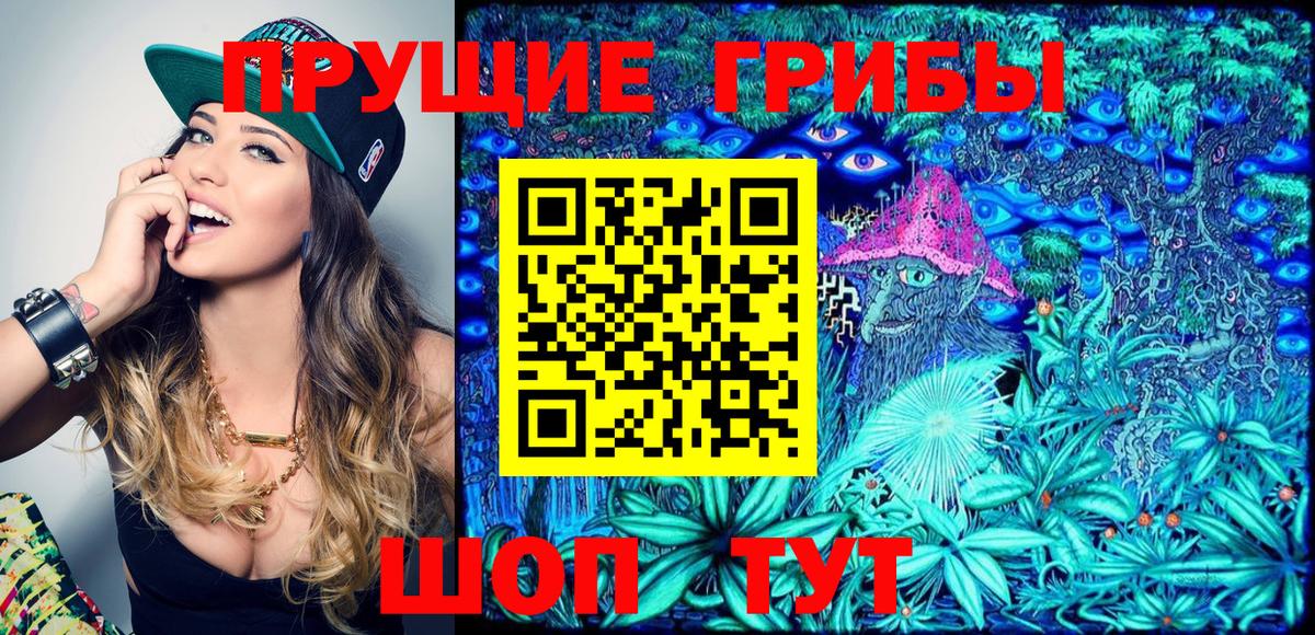 Галлюциногенные грибы прущие грибы  Вход с VPN  Кунгур 