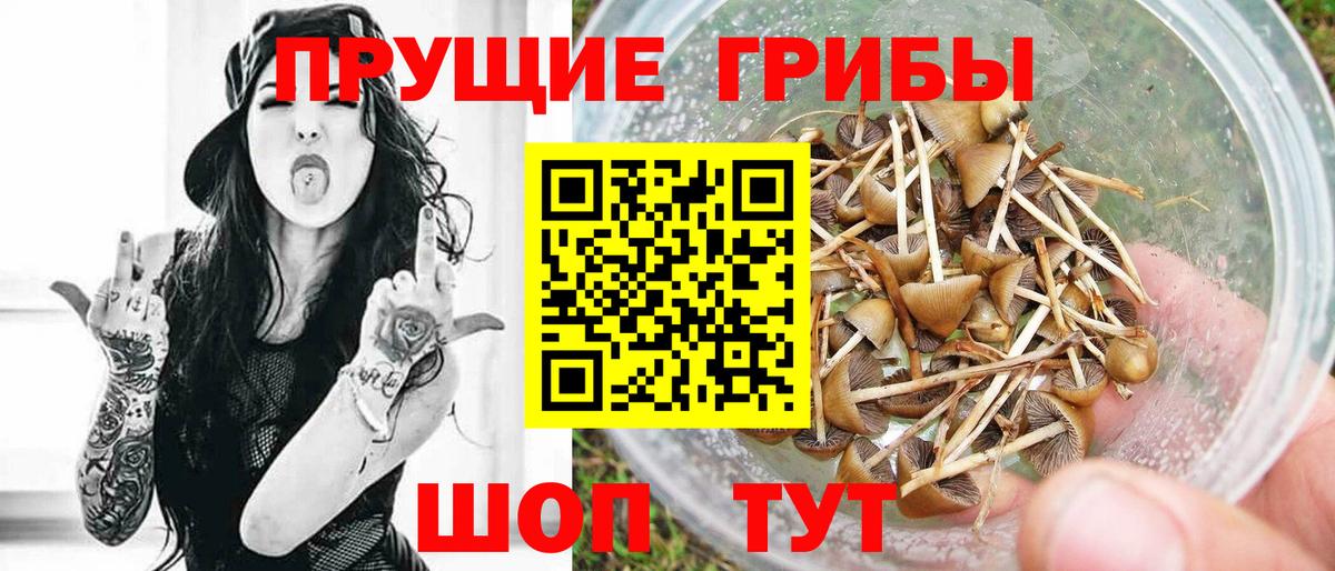 Бутират Кунгур